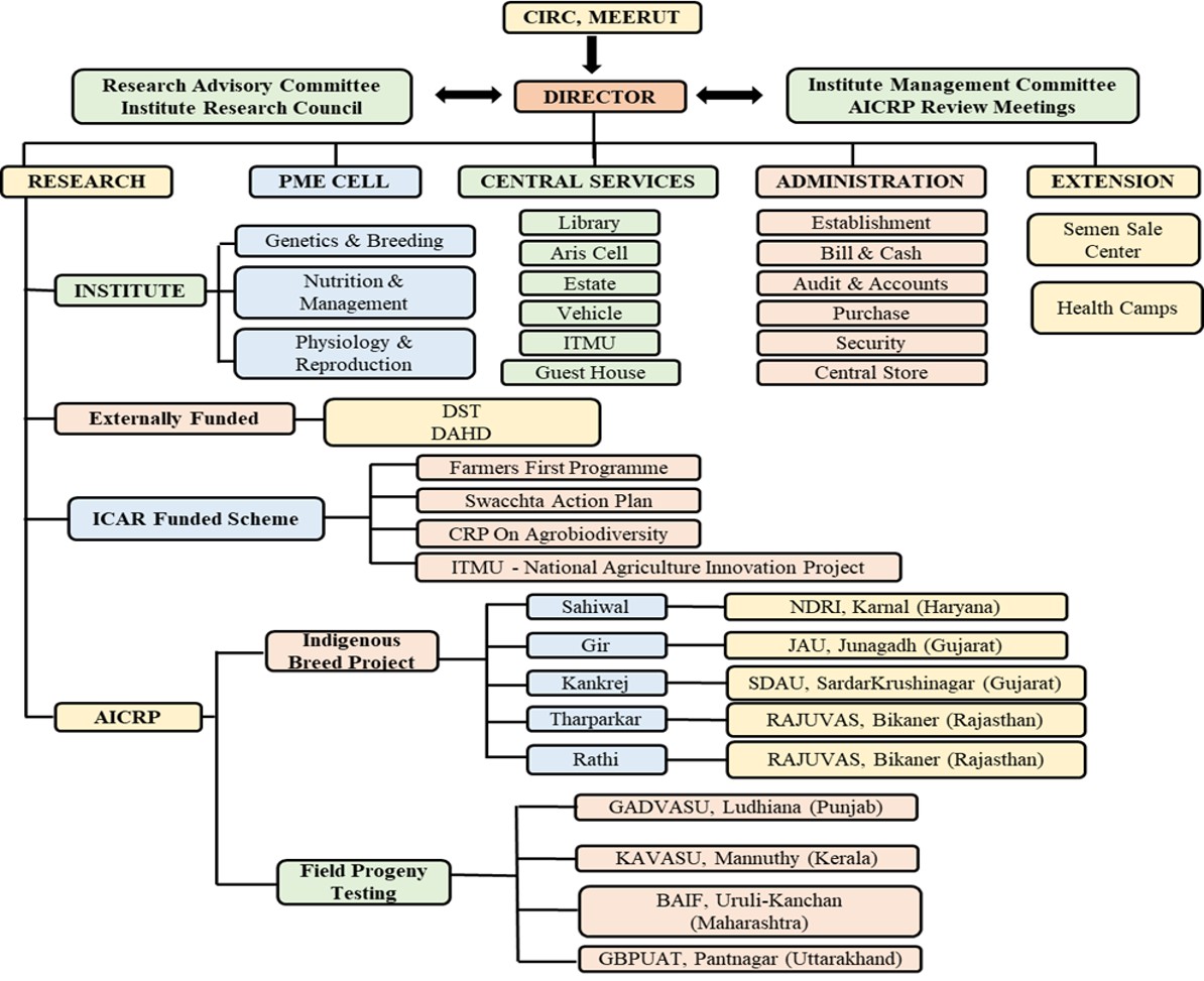 ICAR-CIRC Meerut Organisational Chart