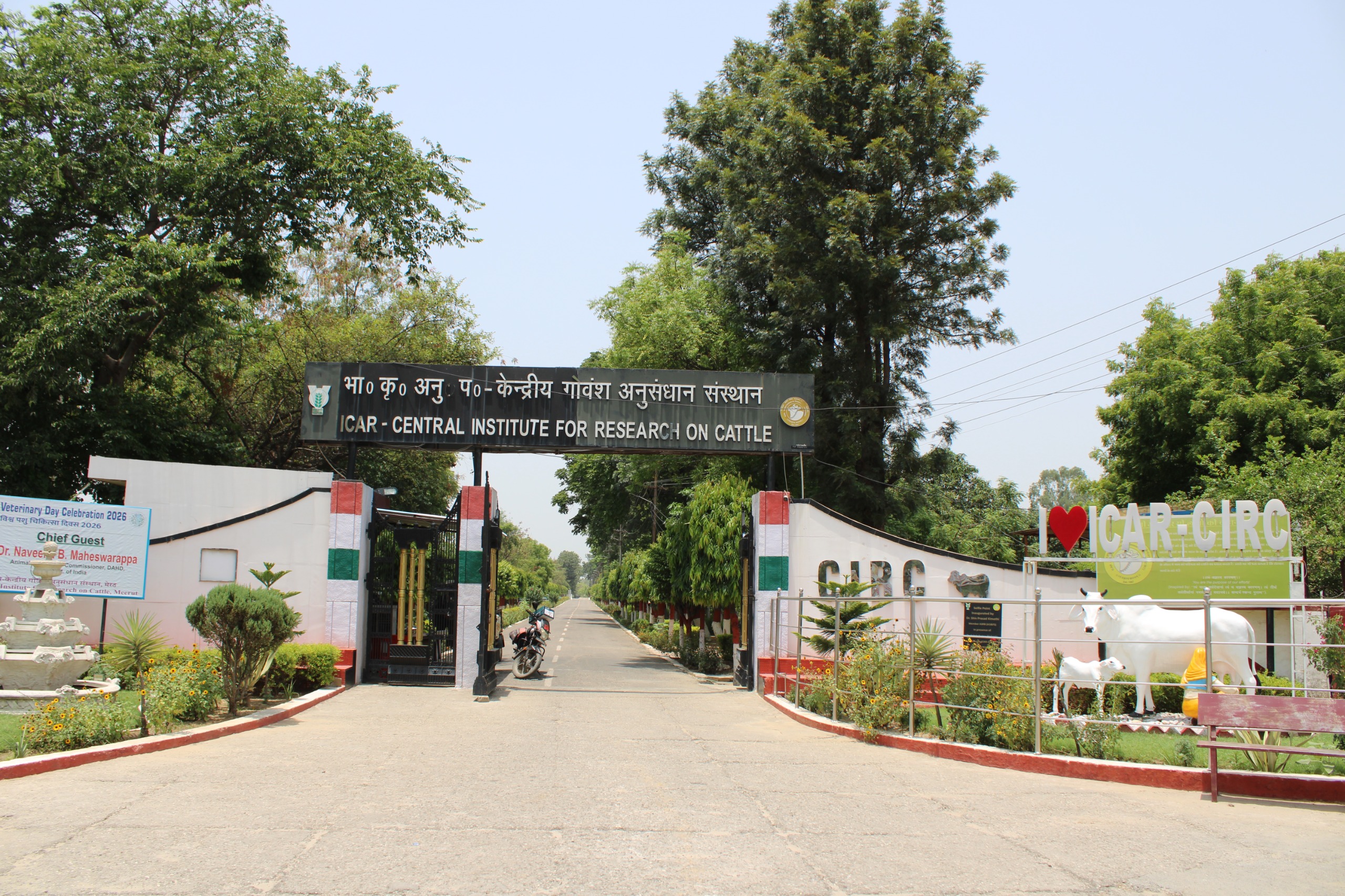 Institute Main Gate