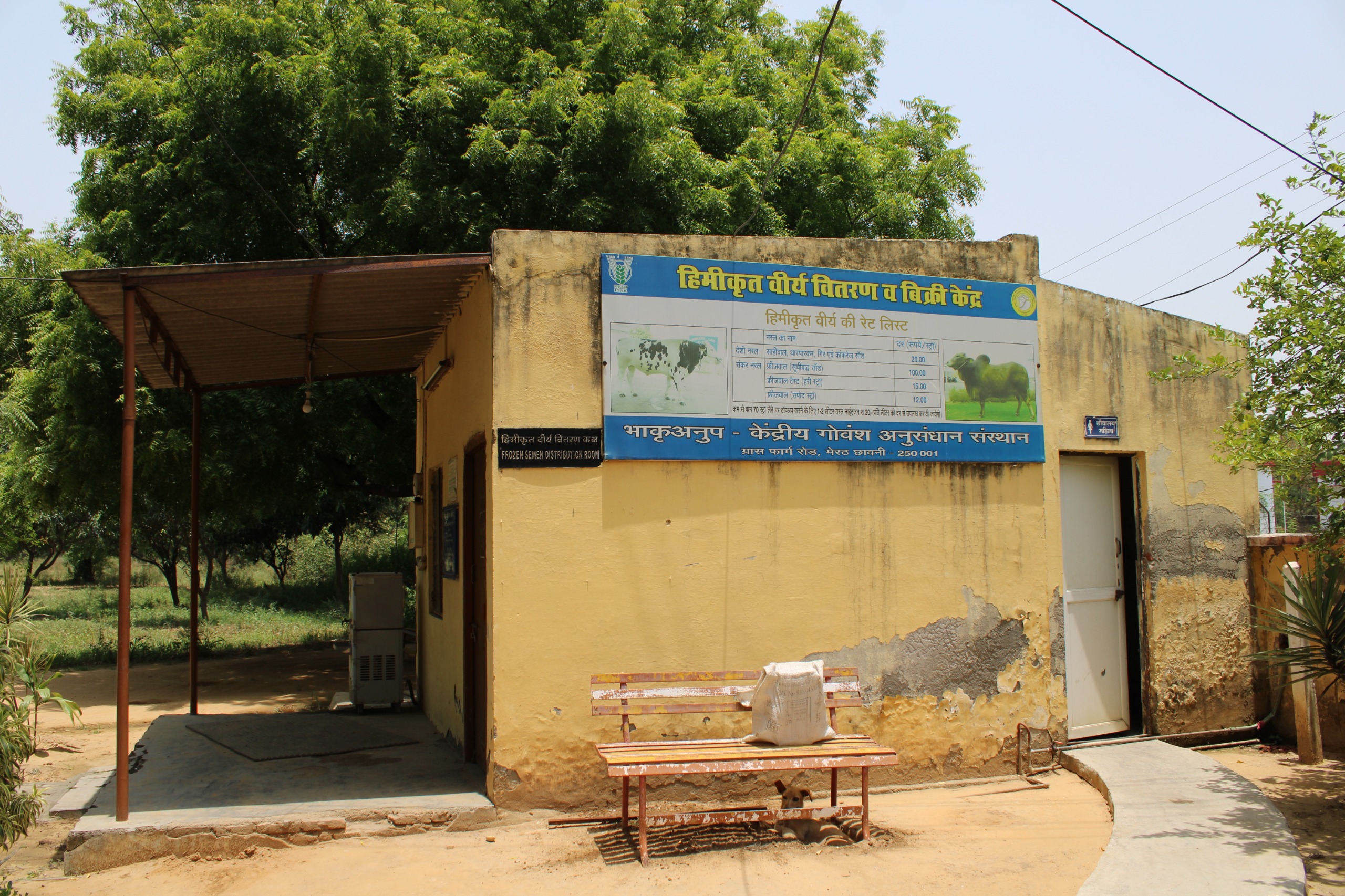 Institute Sale Counter